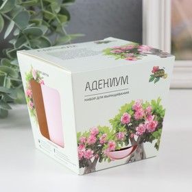 Подарочный набор для выращивания растений "Магия Цветов", "Адениум"