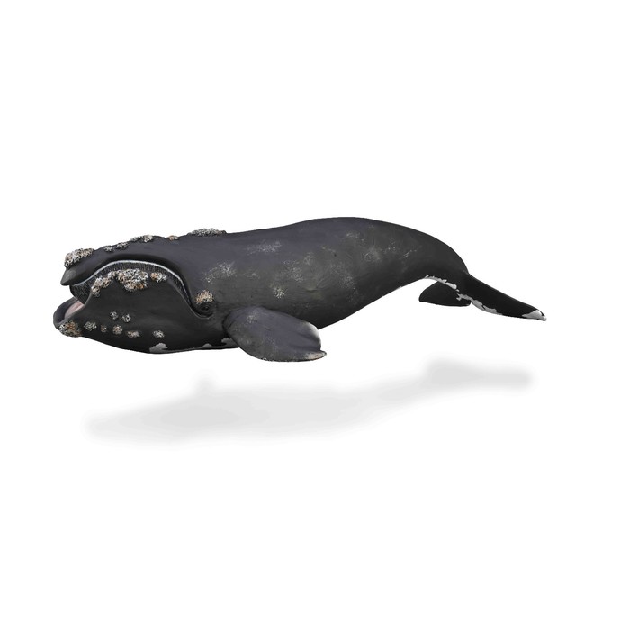 Фигурка «Южный кит», XL - фото 1906377696