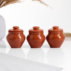 Набор "Вятская керамика специи" 3х0,1л + корзинка из лозы, терракота - Фото 2