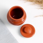 Набор "Вятская керамика специи" 3х0,1л + корзинка из лозы, терракота - Фото 3