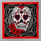 Салфетки бумажные «Череп», в наборе 20 шт. - фото 43023028