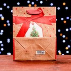 Пакет подарочный "Новогодняя ёлка" 18 х 22,3 х 10 см - Фото 2