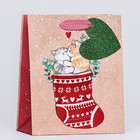 Пакет подарочный "Коты в носке" 18 х 22,3 х 10 см - Фото 1