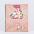Пакет подарочный "Коты в носке" 18 х 22,3 х 10 см - Фото 2