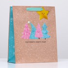 Пакет подарочный "Счастливого Нового Года" 26 х 32 х 12 см 9911088