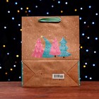 Пакет подарочный "Счастливого Нового Года" 26 х 32 х 12 см 9911088