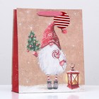 Пакет подарочный "Дед Мороз" 26 х 32 х 12 см - фото 2894050