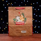 Пакет подарочный "Коты в носке" 26 х 32 х 12 см - фото 22794515