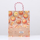 Пакет подарочный "Мандарины" 26 х 32 х 12 см - фото 22794545