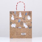 Пакет подарочный "Заяц" 26 х 32 х 12 см - фото 22794561