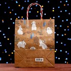 Пакет подарочный "Заяц" 26 х 32 х 12 см - фото 22794563