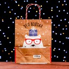 Пакет бумажный подарочный новогодний крафт "Это взятка" 26 х 32 х 12 см. Новый год - фото 22794591