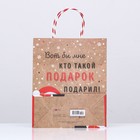 Пакет подарочный "Вот бы мне, кто, такой подарок подарил" 26 х 32 х 12 см. - фото 22794593