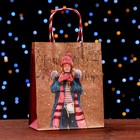 Пакет подарочный "Новогодняя прогулка" 18 х 22,3 х 10 см - фото 22794662