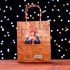 Пакет подарочный "Новогодняя прогулка" 18 х 22,3 х 10 см - фото 22794663