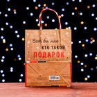 Пакет подарочный "Вот бы мне, кто, такой подарок подарил" 18 х 22,3 х 10 см - фото 22794671