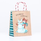 Пакет подарочный "КОТОстрофически классный подарок" 18 х 22,3 х 10 см - Фото 4