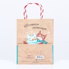 Пакет подарочный "КОТОстрофически классный подарок" 18 х 22,3 х 10 см - Фото 3