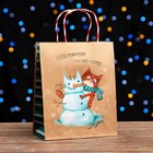 Пакет подарочный "КОТОстрофически классный подарок" 18 х 22,3 х 10 см - Фото 1