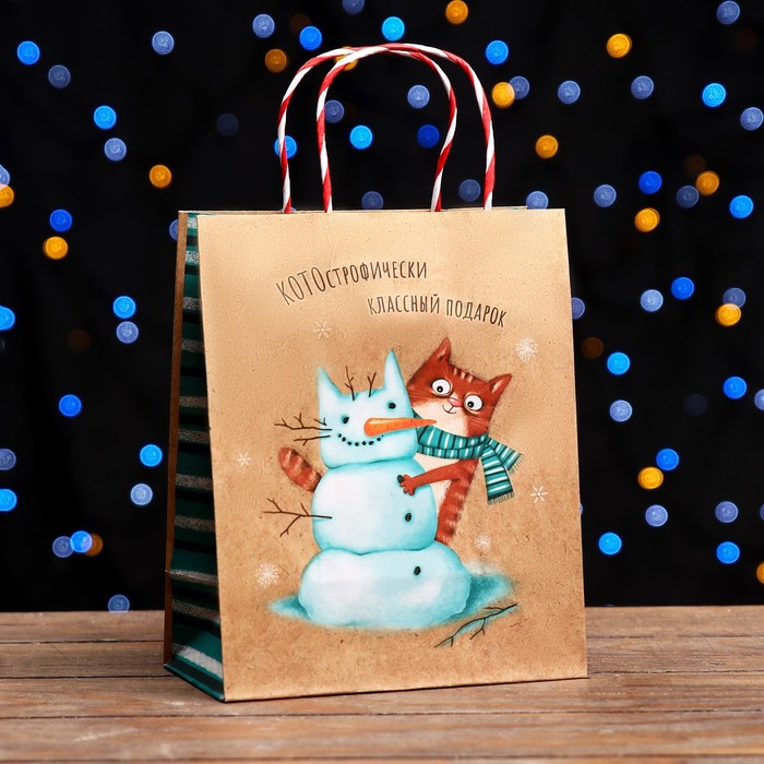 Пакет подарочный "КОТОстрофически классный подарок" 18 х 22,3 х 10 см - Фото 1