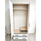 Шкаф двухдверный «Алиса №9», 900×500×2135 мм, цвет гикори джексон / спринт / белый - Фото 10