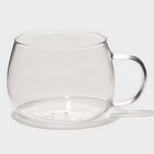 Кружка стеклянная для заваривания с керамическим ситом «Нежность», 300 мл, цвет бирюзовый - фото 39444423