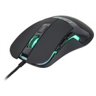 Мышь Оклик 865G Snake черный оптическая (2400dpi) USB (6but) - фото 51347986 Мышь Оклик 865G Snake черный оптическая (2400dpi) USB (6but) - фото 51347986