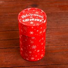 Коробка «Новогодний сюрприз» завальцованная без окна 8×14.5 см - фото 24480699