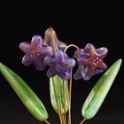 Сувенир "Цветы Колокольчики", 5 цветков, фиолетовые, селенит - фото 7491077