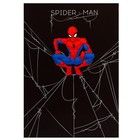 Ежедневник А5, 160 листов "Spider-man", Человек-паук - Фото 4