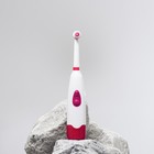 Электрическая зубная щётка LP-001, 3 насадки, от 2xАА (не в комплекте), МИКС - фото 10959109