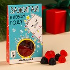 Мармелад в домике «Зажигай в новом году» ягоды, 50 г. - фото 10992495