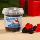 Мармелад в ведёрке «Витаминки на зиму» ягоды, 100 г. - фото 10992534