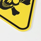 Знак декоративный (постер) "Череп и кости" 30х27 см, пластик - фото 7379293