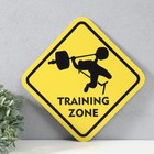 Знак декоративный (постер) "Training zone" 32х32 см, пластик - фото 7379304