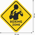 Знак декоративный (постер) "Boxing zone" 32х32 см, пластик - фото 7336719
