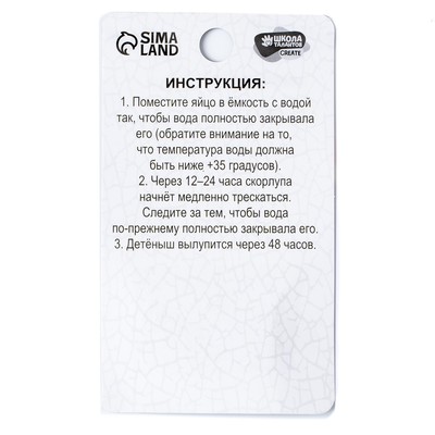 Растущие игрушки «Мир динозавров», МИКС