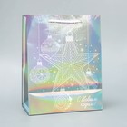 Пакет голографический «Звезда», MS 18 х 23 х 10 см, Новый год - фото 24258849