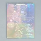 Пакет голографический «Звезда», MS 18 х 23 х 10 см, Новый год - фото 24258851