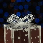 Складная прозрачная коробка из PVC, для упаковки подарков, «Весеннее настроение», 6×6×10 см - Фото 7