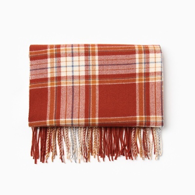 Шарф зимний с кистями MINAKU, размер 65×180 + 8 см, принт клетка