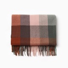 Шарф зимний с кистями MINAKU, размер 65×180 + 8 см, принт клетка - фото 26823563