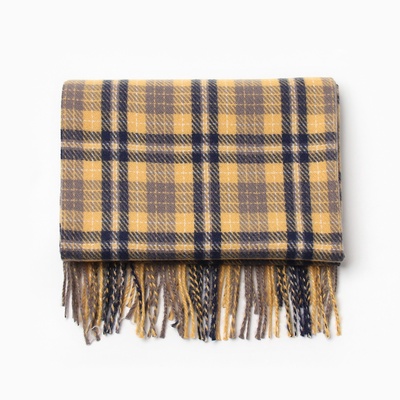 Шарф зимний с кистями MINAKU, размер 65×180 + 8 см, принт клетка