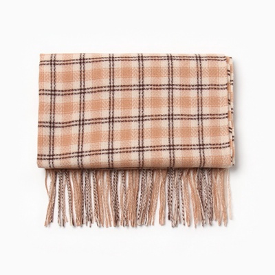 Шарф зимний с кистями MINAKU, размер 65×180 + 8 см, принт клетка