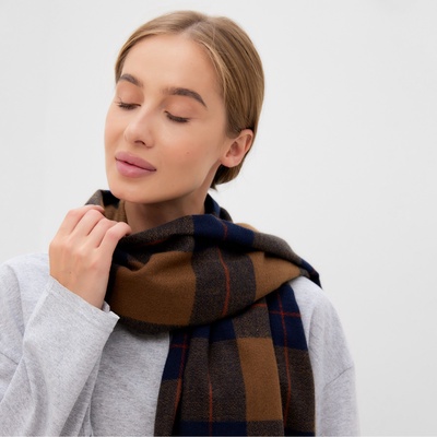 Шарф зимний с кистями MINAKU, размер 65×180 + 3 см, принт клетка