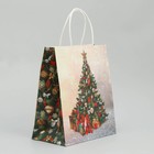 Пакет крафтовый «Новогодняя елочка», 22 × 25 × 12 см - фото 9042628