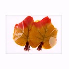 Декор «Осенний лист» набор 20 шт., размер 1 шт. — 7 × 10 × 0,2 см, цвет жёлтый - Фото 4