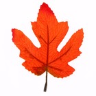 Декор «Осенний лист» набор 15 шт., размер 1 шт. — 9 × 11 × 0,2 см, цвет оранжевый - Фото 2