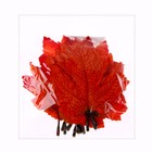 Декор «Осенний лист» набор 15 шт., размер 1 шт. — 9 × 11 × 0,2 см, цвет оранжевый - Фото 4