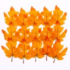 Декор «Осенний лист» набор 15 шт., размер 1 шт. — 9 × 11 × 0,2 см, цвет жёлто-оранжевый - фото 292305959